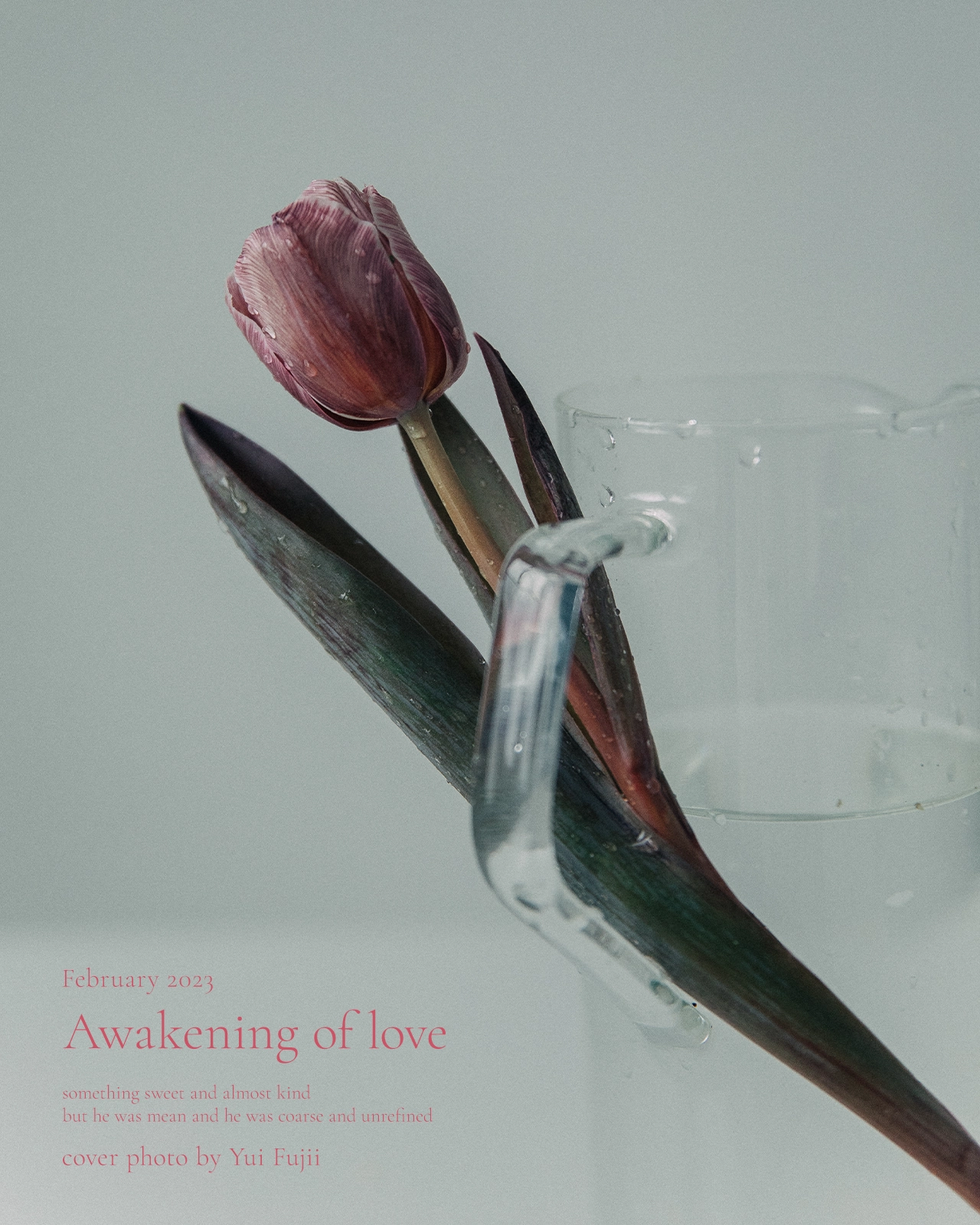 Awakening of love